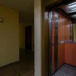 Apartamento Las CARACOLAS de Cádiz
